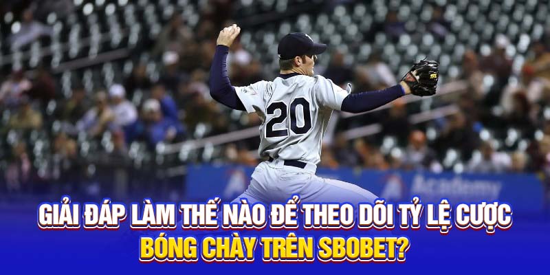 Giải đáp làm thế nào để theo dõi tỷ lệ cược bóng chày