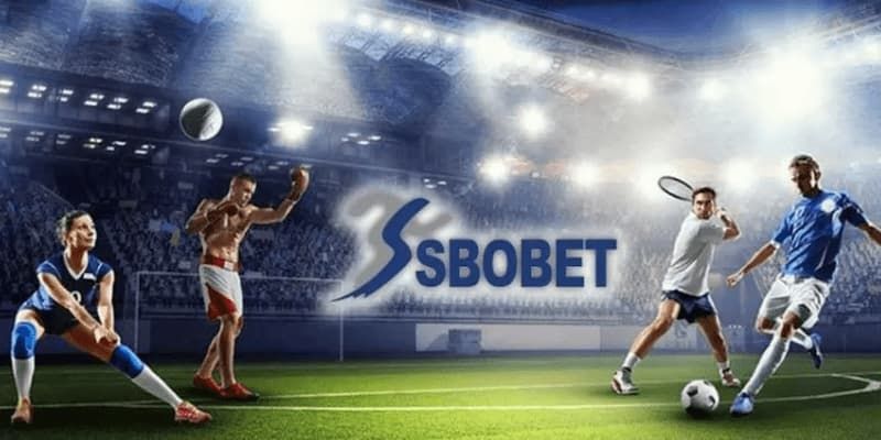 Giải đấu quần vợt tại sân chơi top 1 thị trường